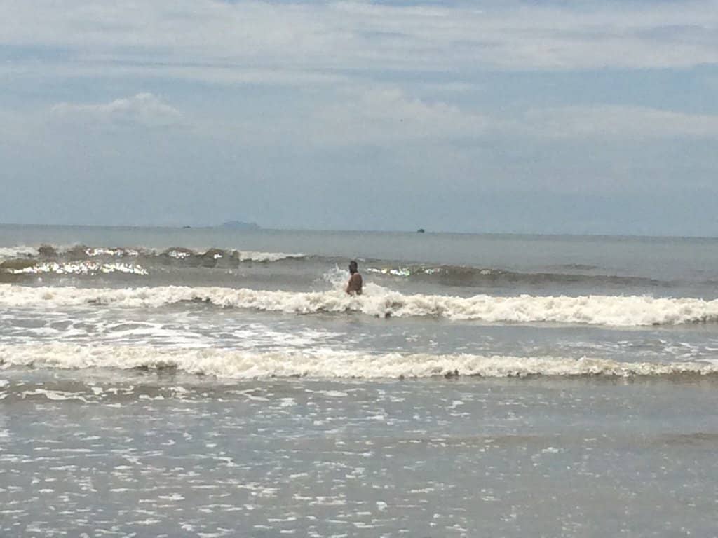 Forested Ecological Reserve