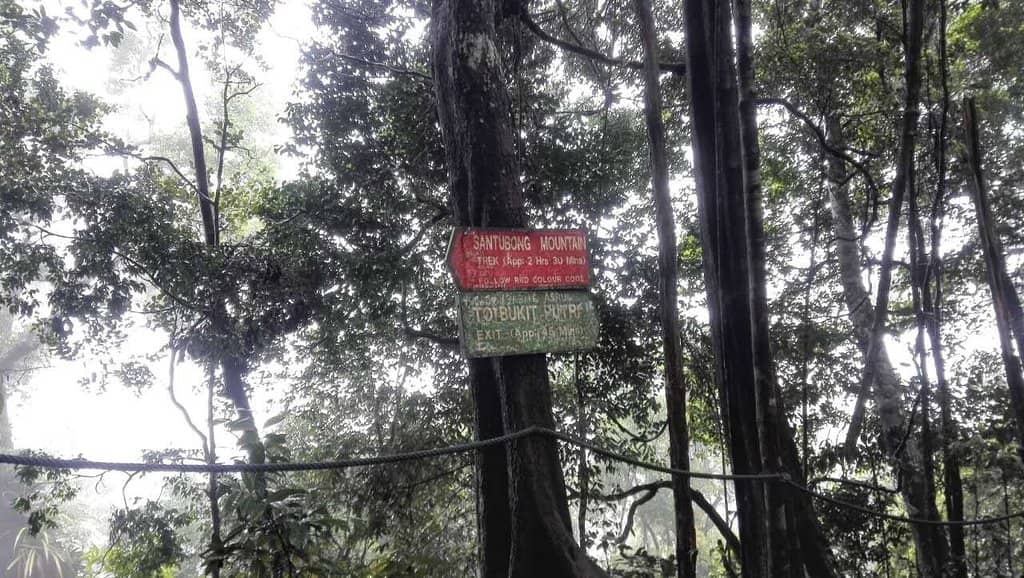 Santubong National Park Trails