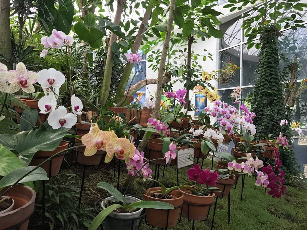 Peaceful Natural Escape