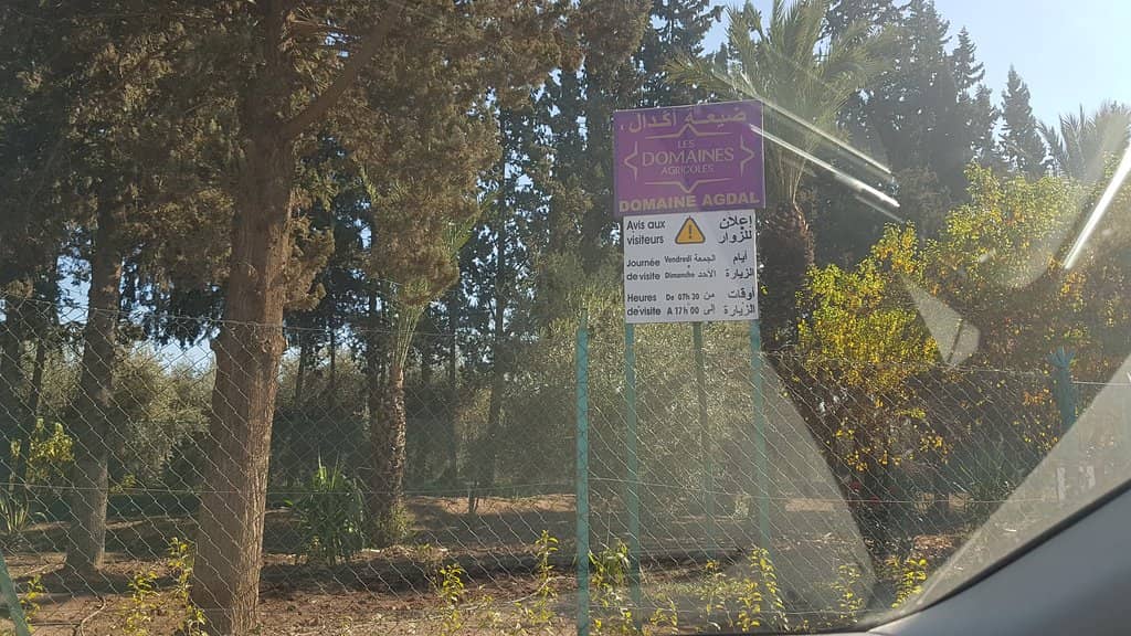 Carp-Filled Reservoirs