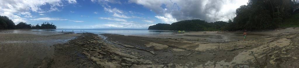 Peaceful Swimming Waters