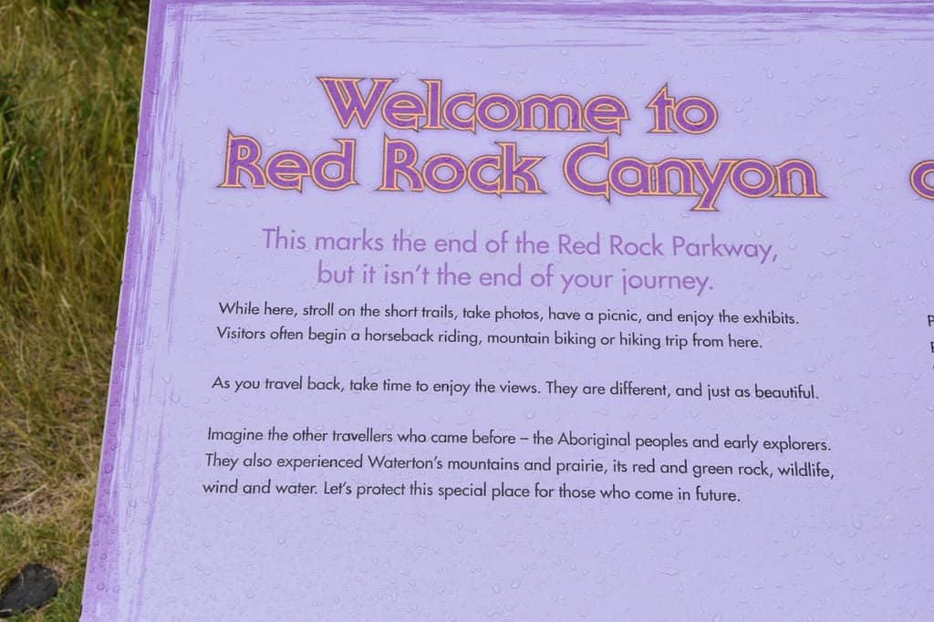 Alpine Wildflower Meadows