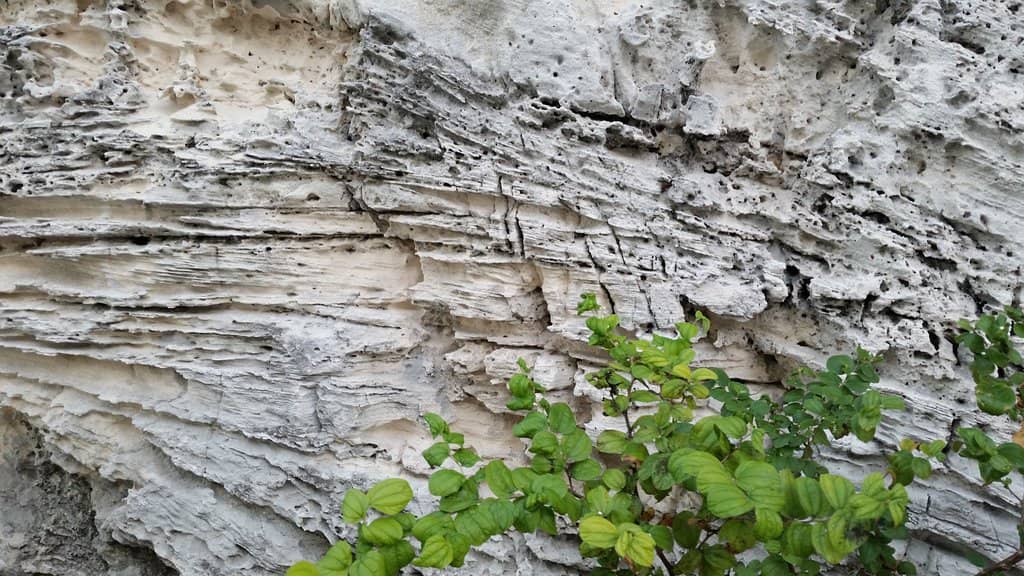 Historic Government House