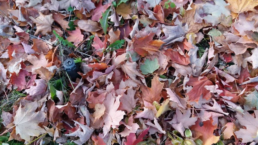 Water Sports Adventures