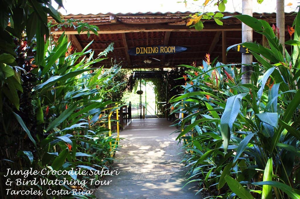 Close-Up Animal Encounters