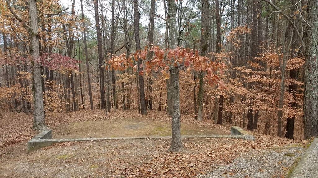 Petting Zoo & Wildlife