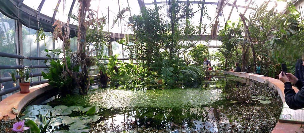 Museum of Plants and Human Life