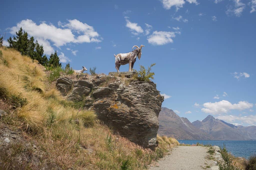 Shotover Gorge Suspension Bridge