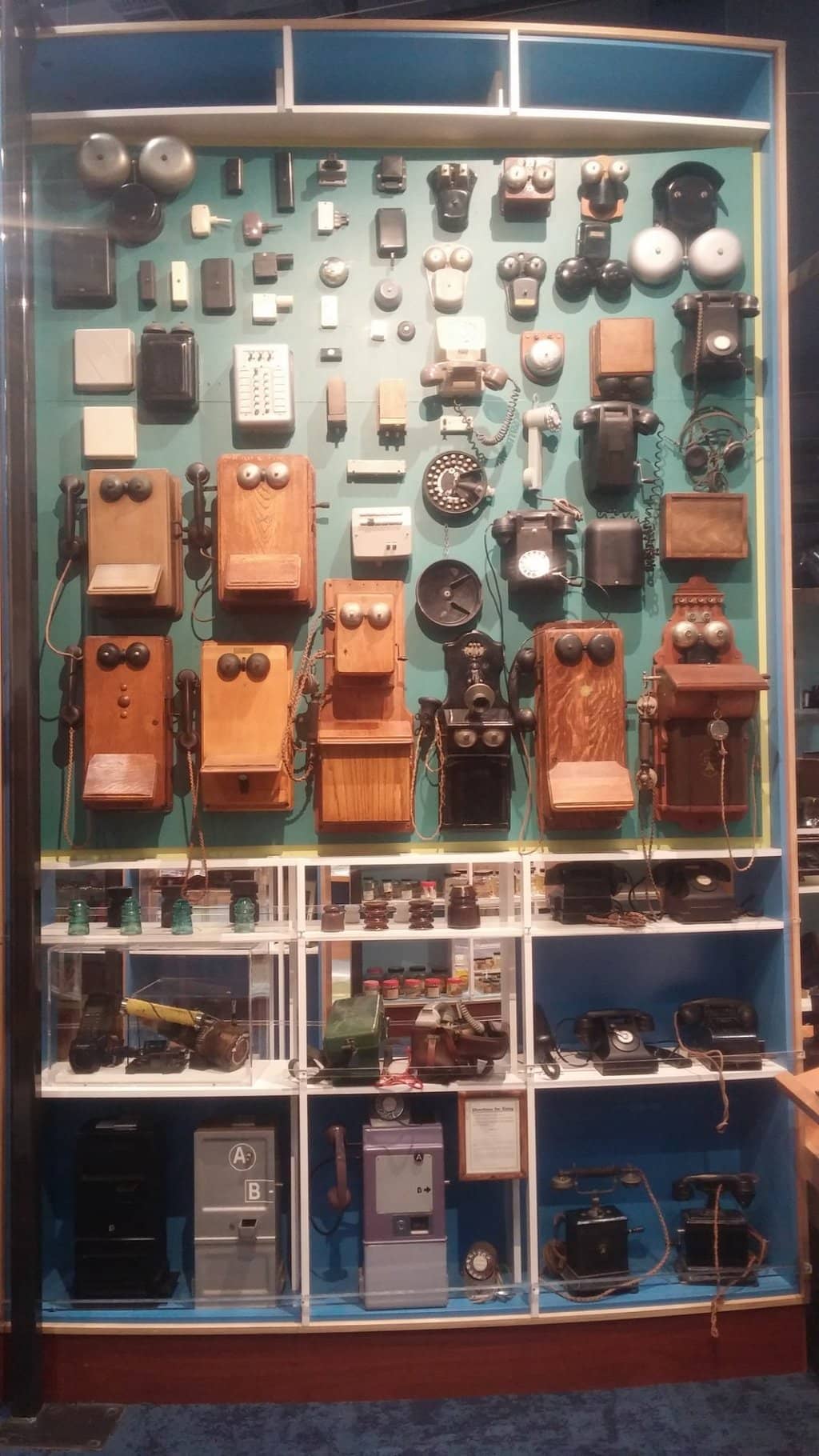 Seashells and Fossils