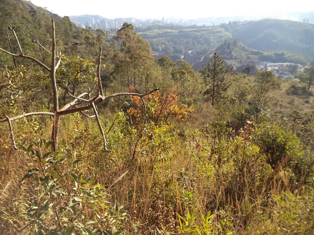 Nature and Wildlife Spotting