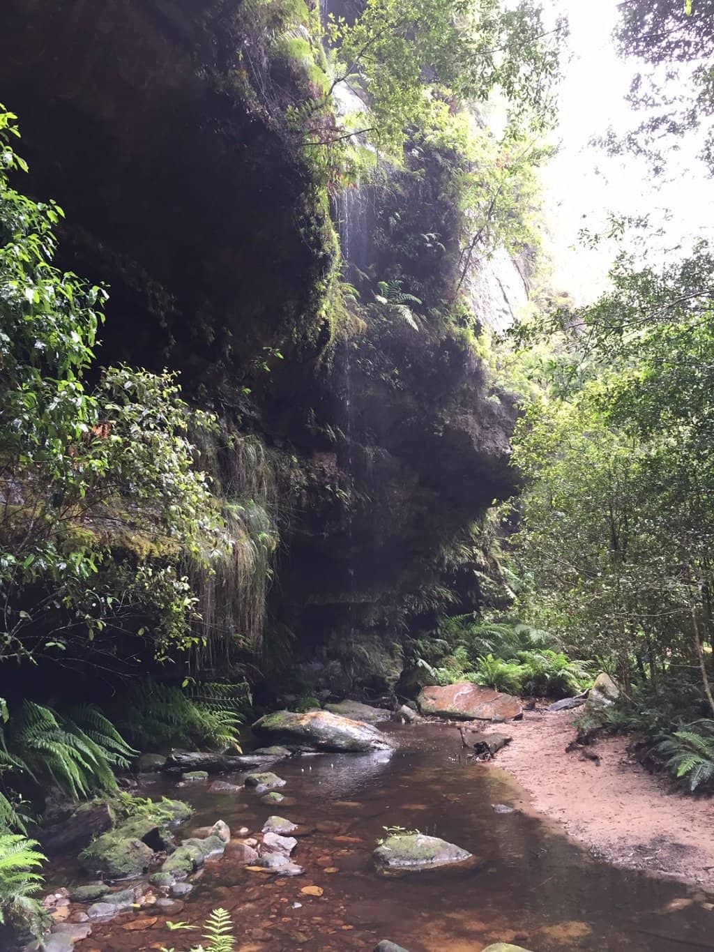 South Rim Sunrise/Sunset Views