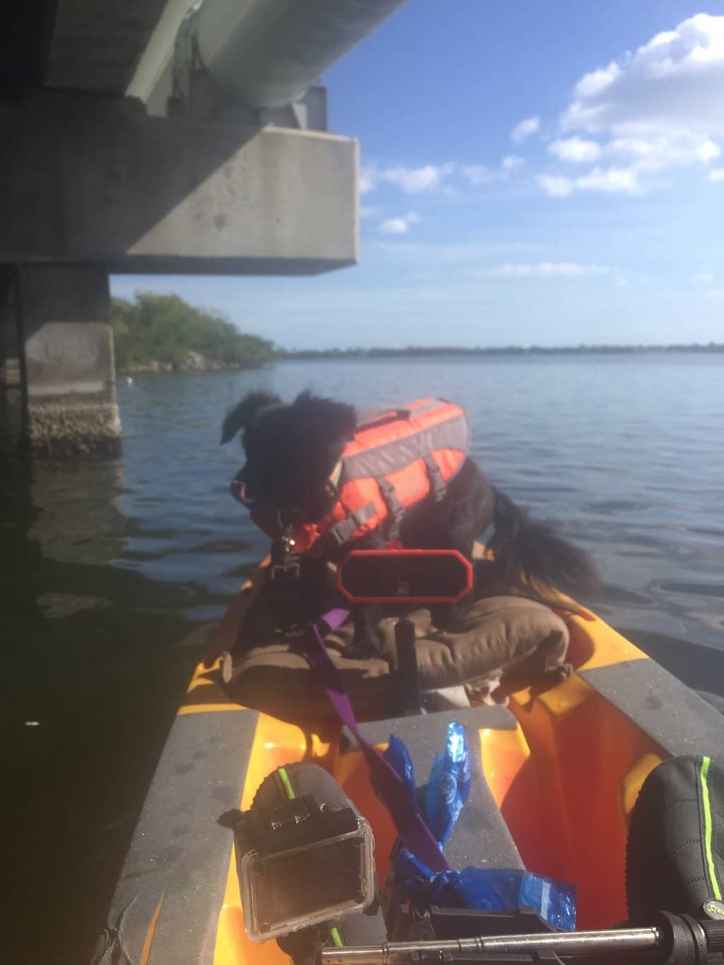 Kayaking & Canoeing Canals