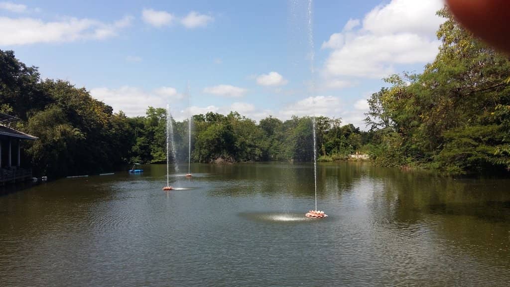 Serene Water Features