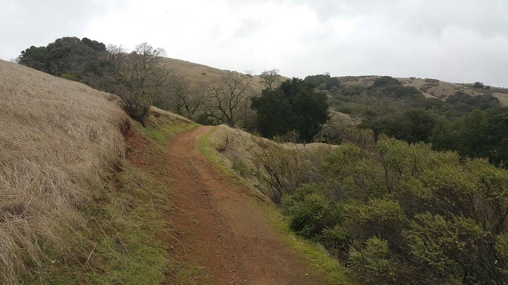 Children's Playground