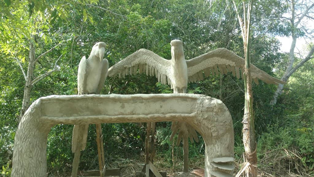 Wildlife at the Bottom