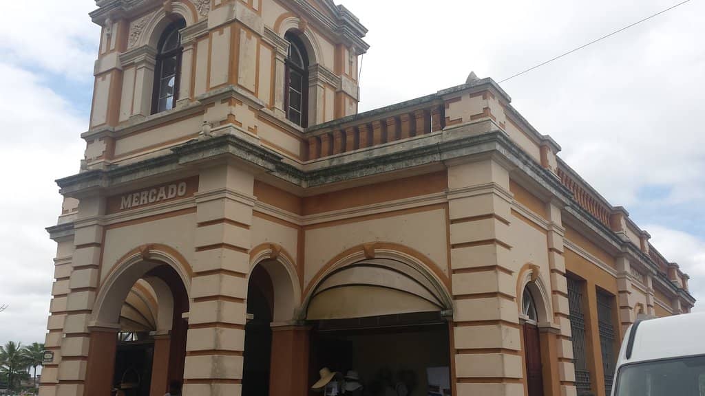 Fresh Natural Juices