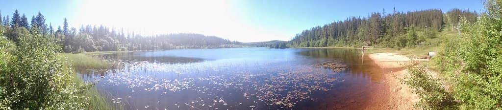 Panoramic City Views