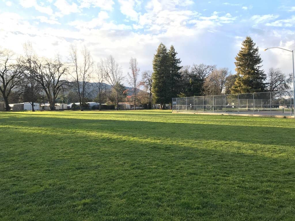 Expansive Grassy Fields