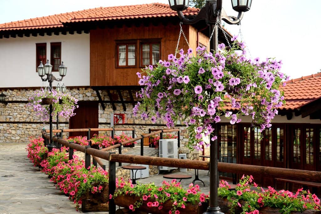 Traditional Macedonian Cuisine