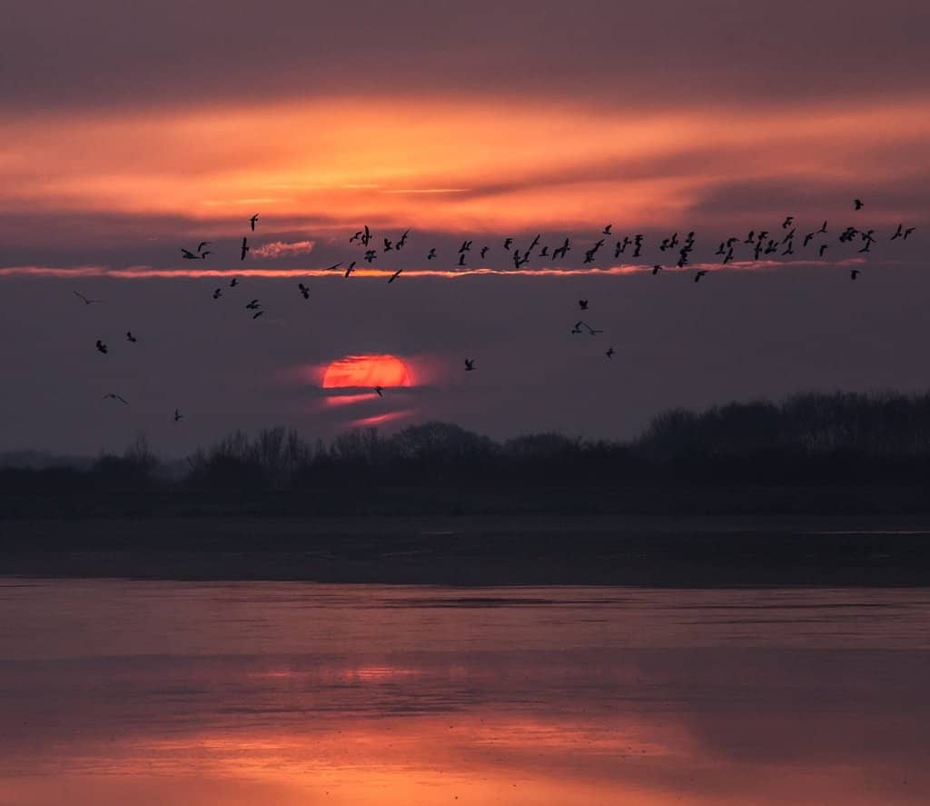 Family Picnic & Play Area