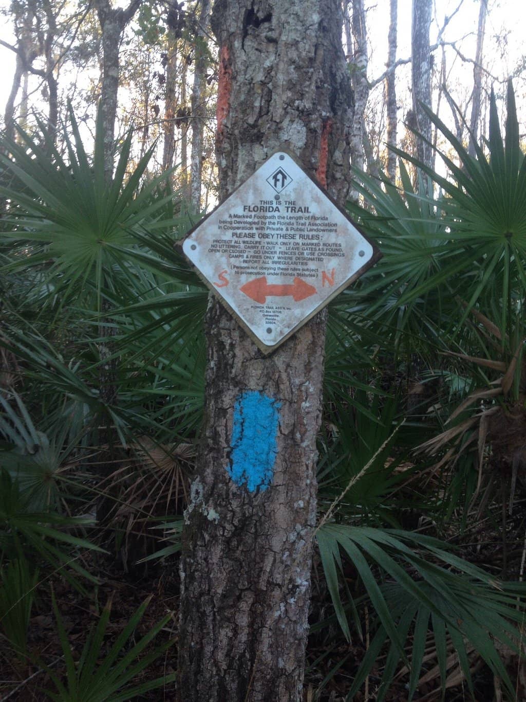 Chickadee Feeding Trail