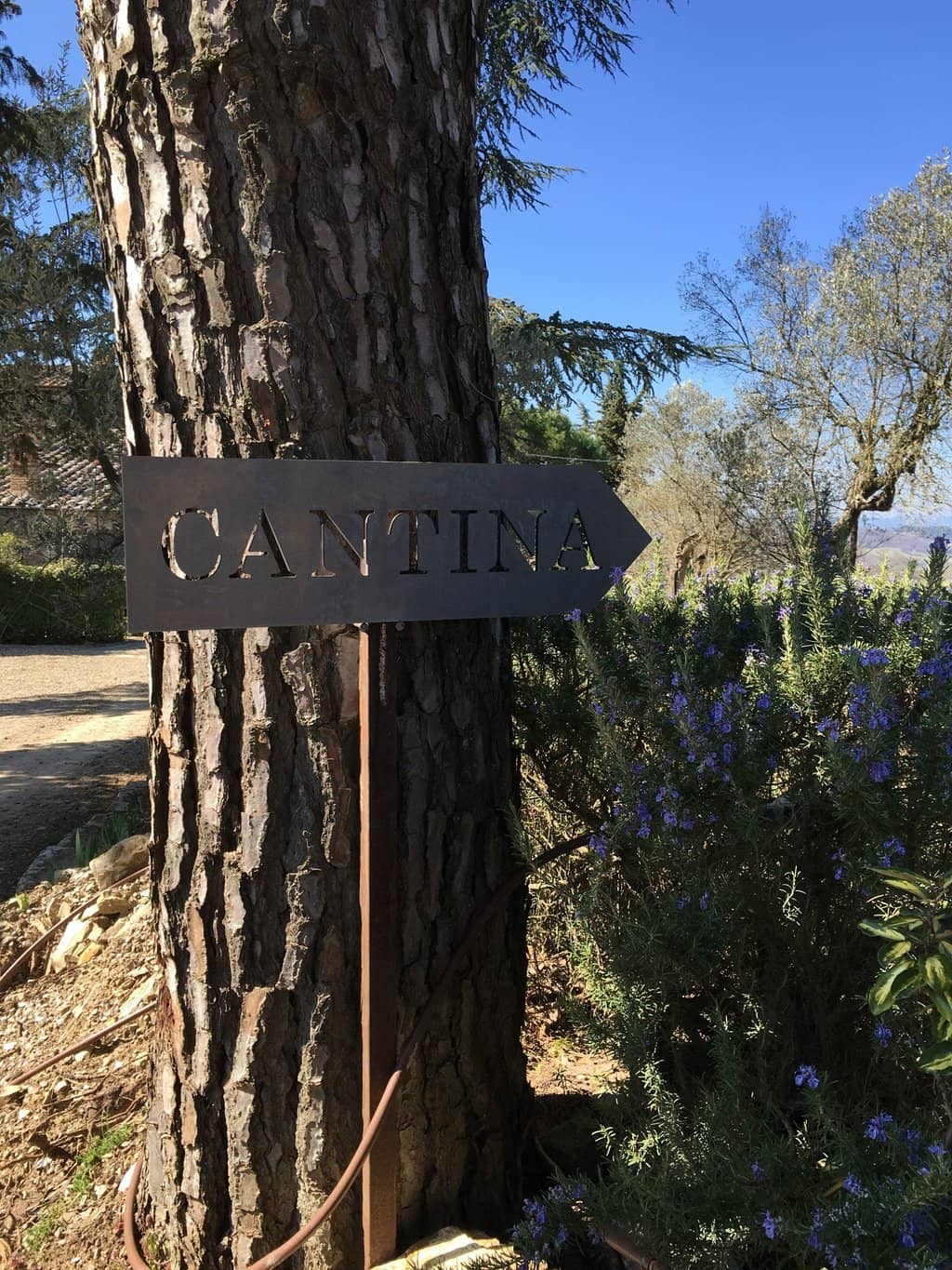 Tuscan Cooking Class