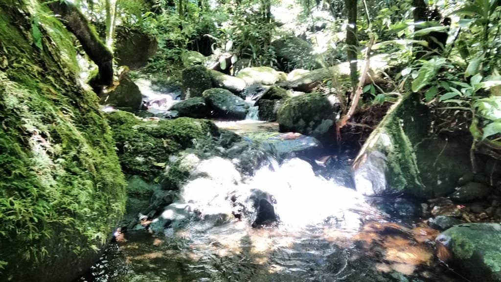 Hidden Ruins and Waterfalls