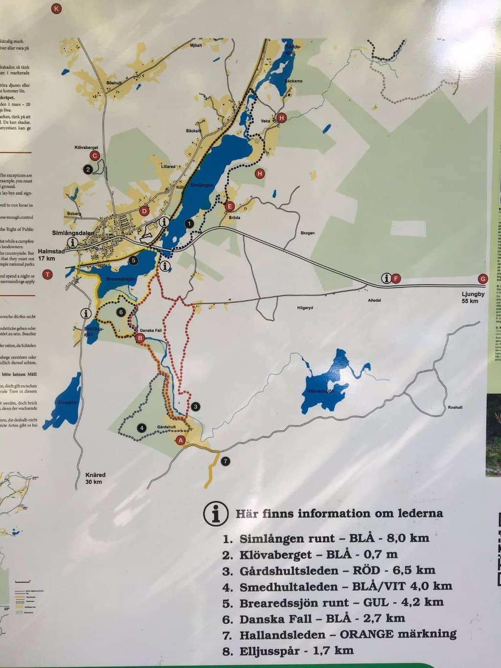 Enchanting Forest Trails