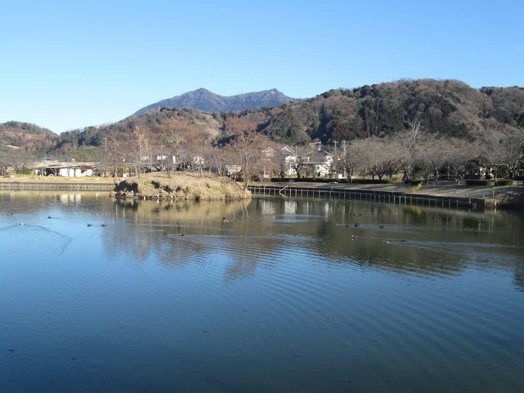 Frog Statue Serenity