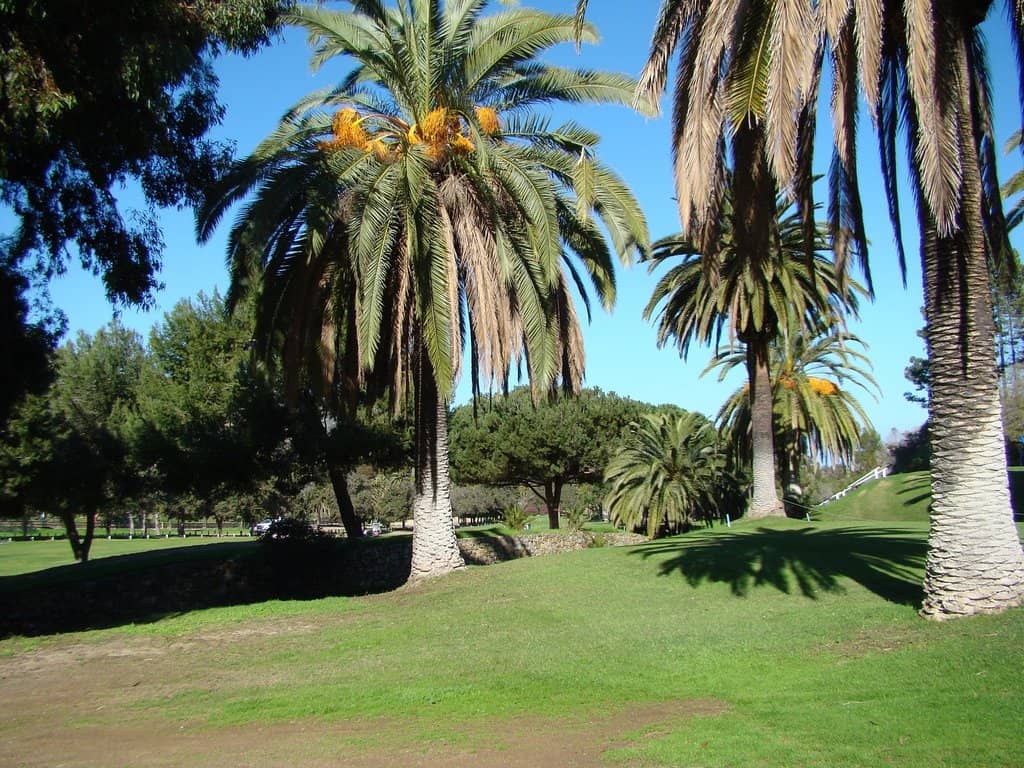 Golf Cart Exploration