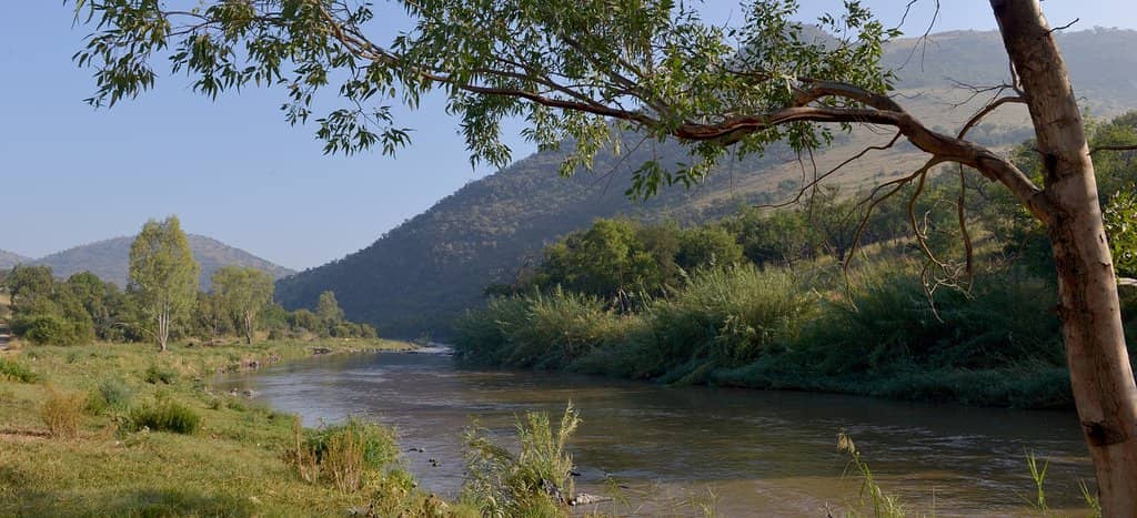 Nature Walk & Rehabilitation Centre