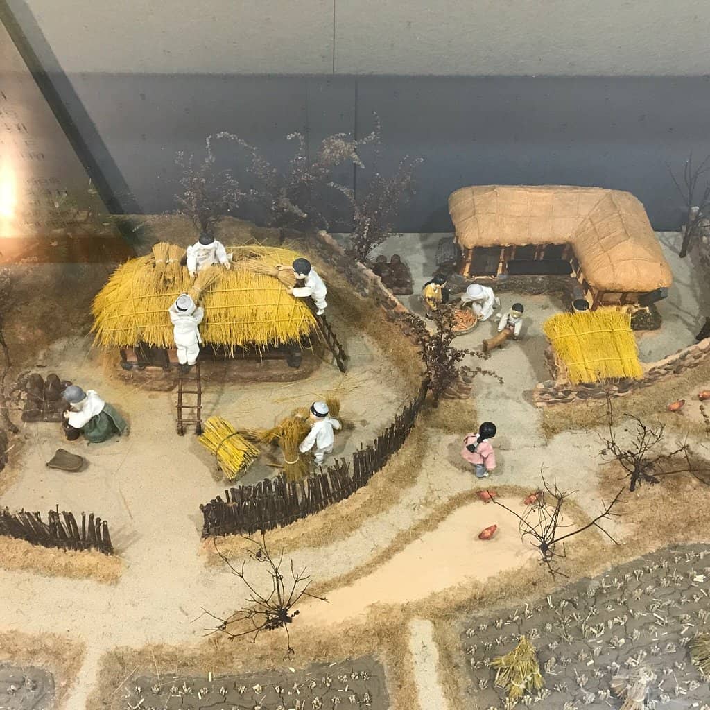 Traditional Thatched Homes