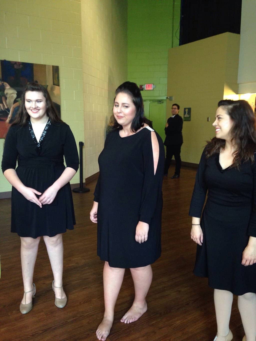 Hairspray the Musical