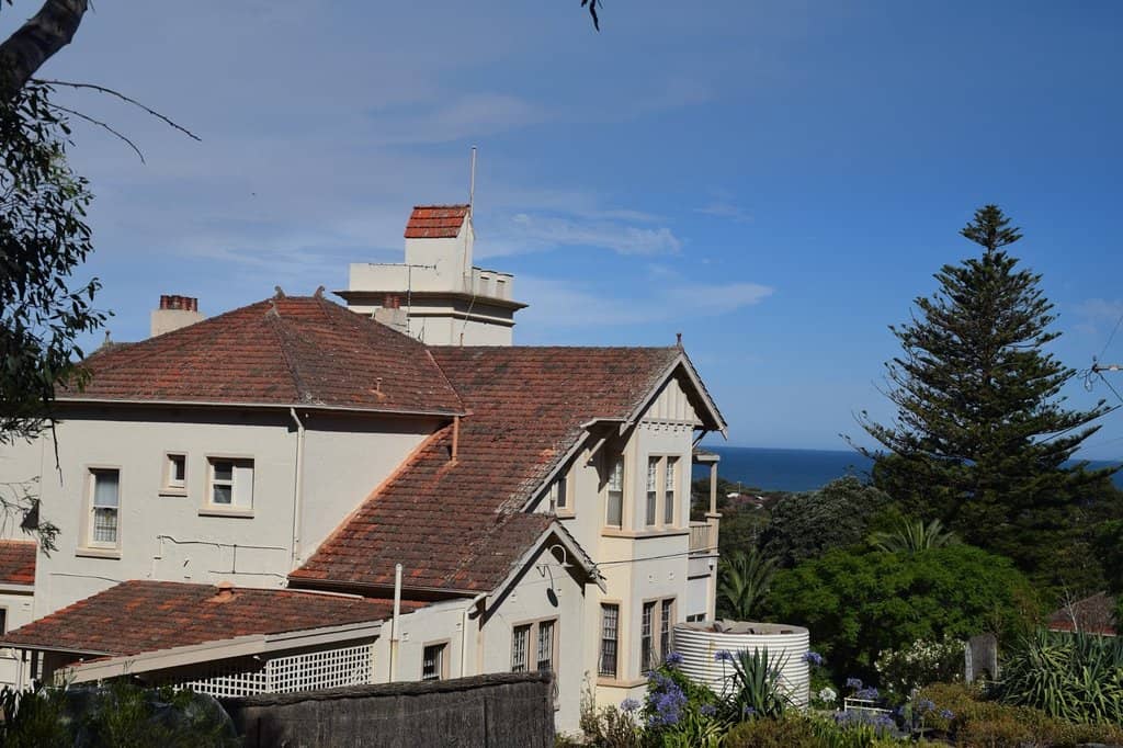 Melaleuca Forest Boardwalk