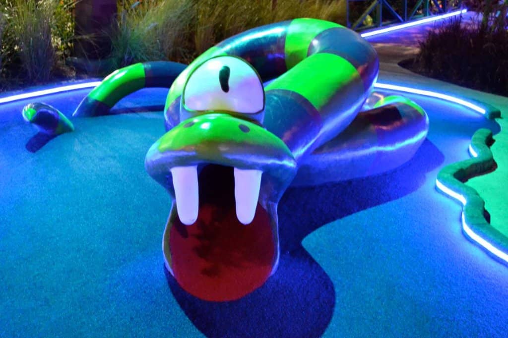 Interactive Digital Scorecards