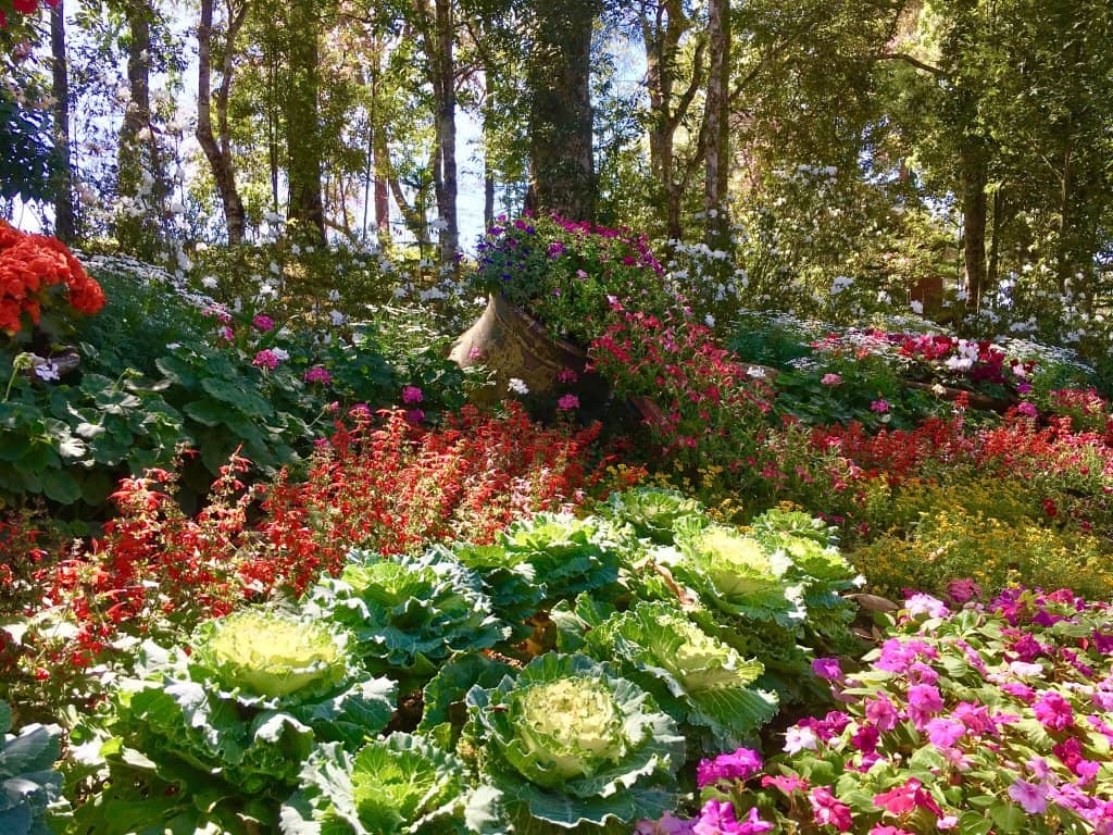 Rose Garden