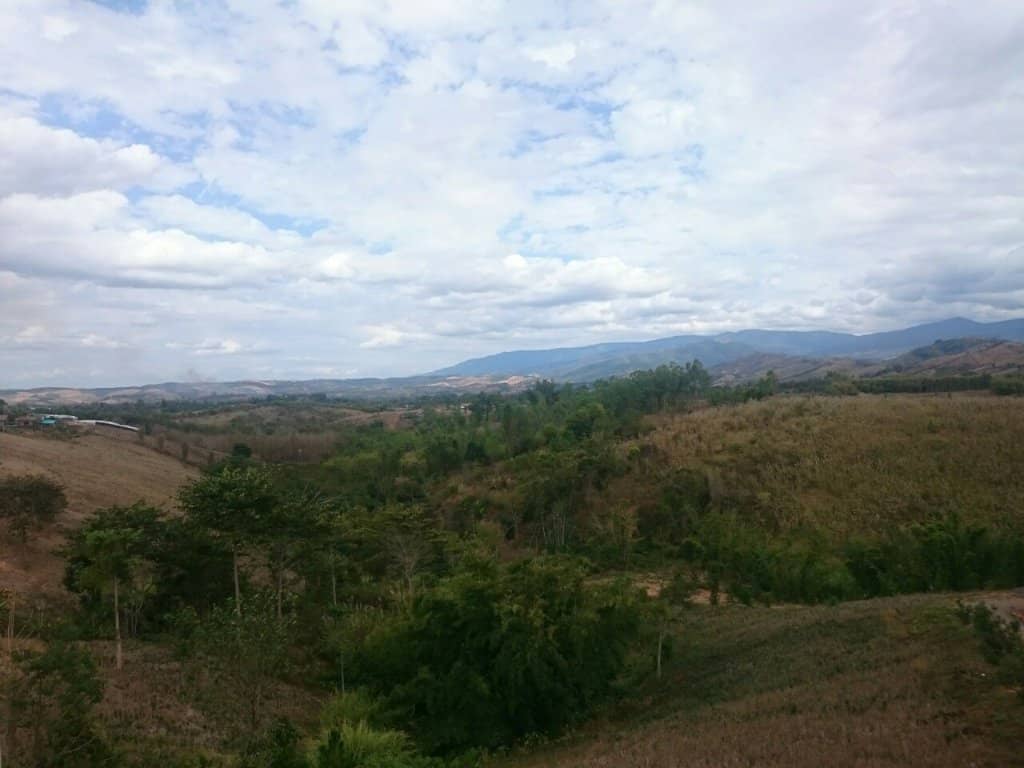 Lively Local Atmosphere