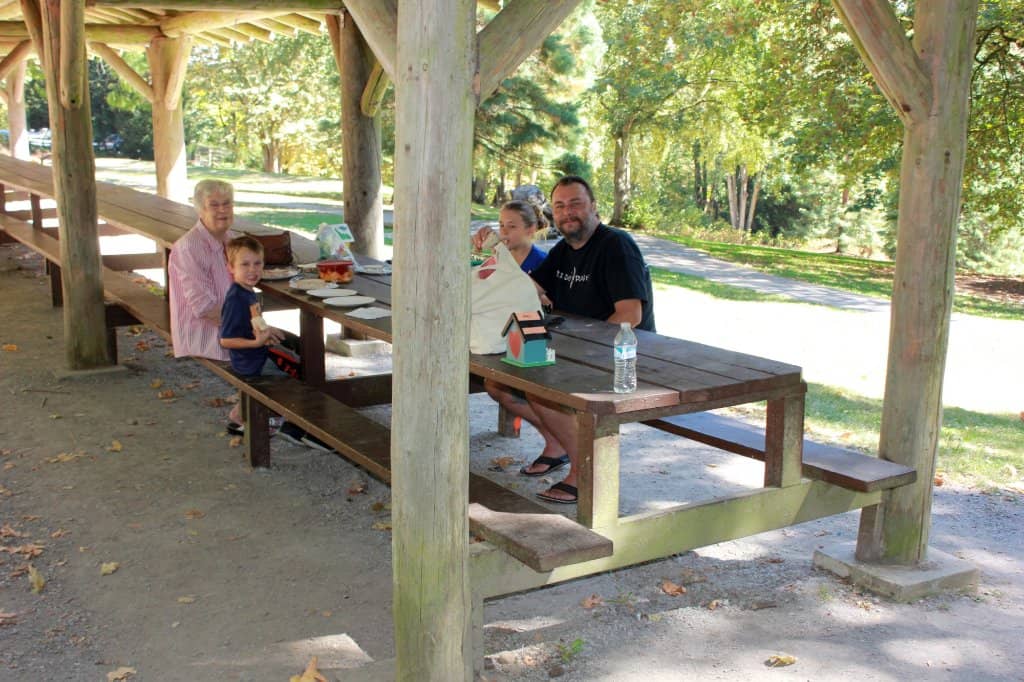 Scenic Walking Trails