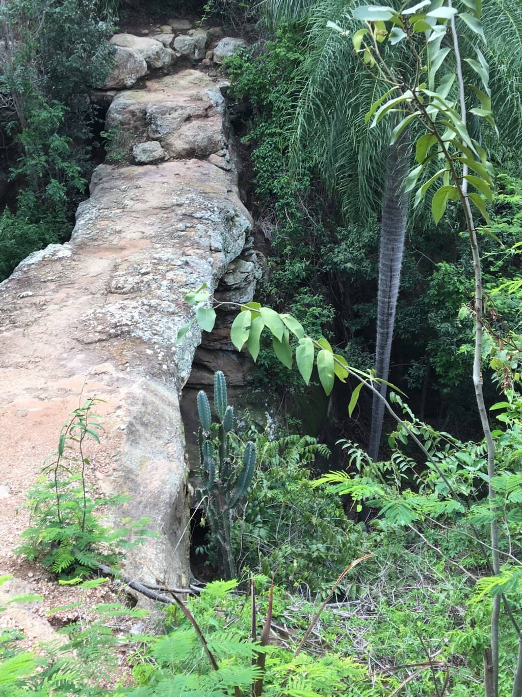 Birdwatching Opportunities