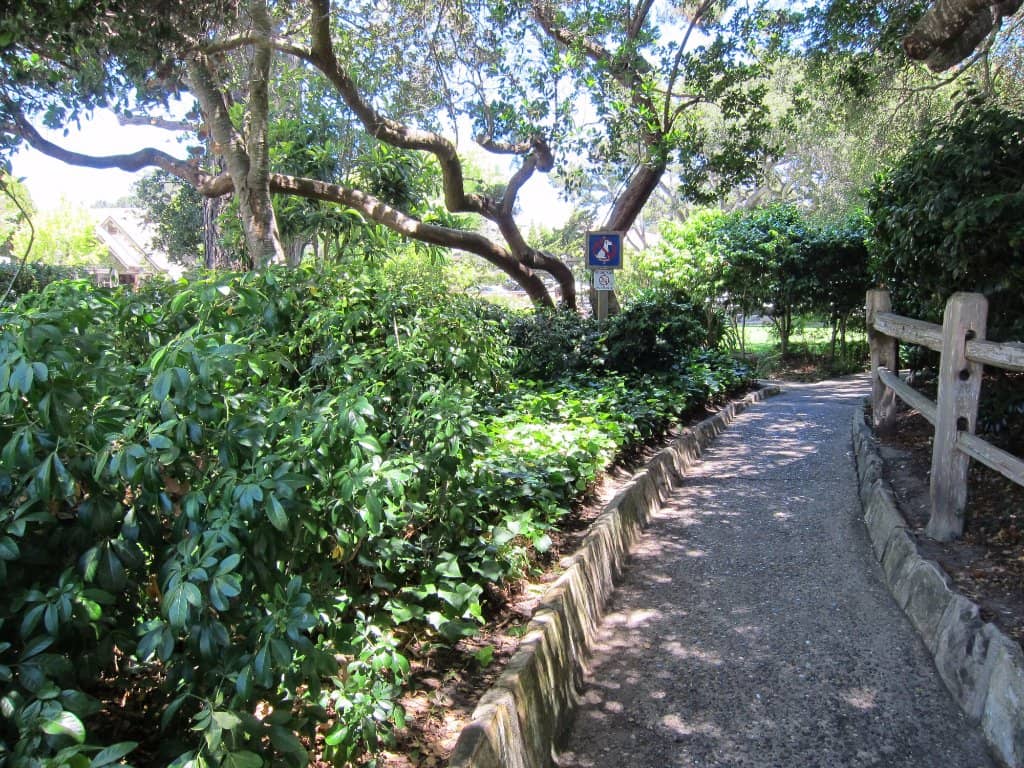 Independence Day Celebration