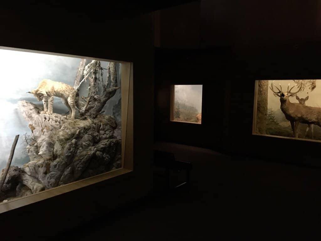 Naming Natures Exhibition