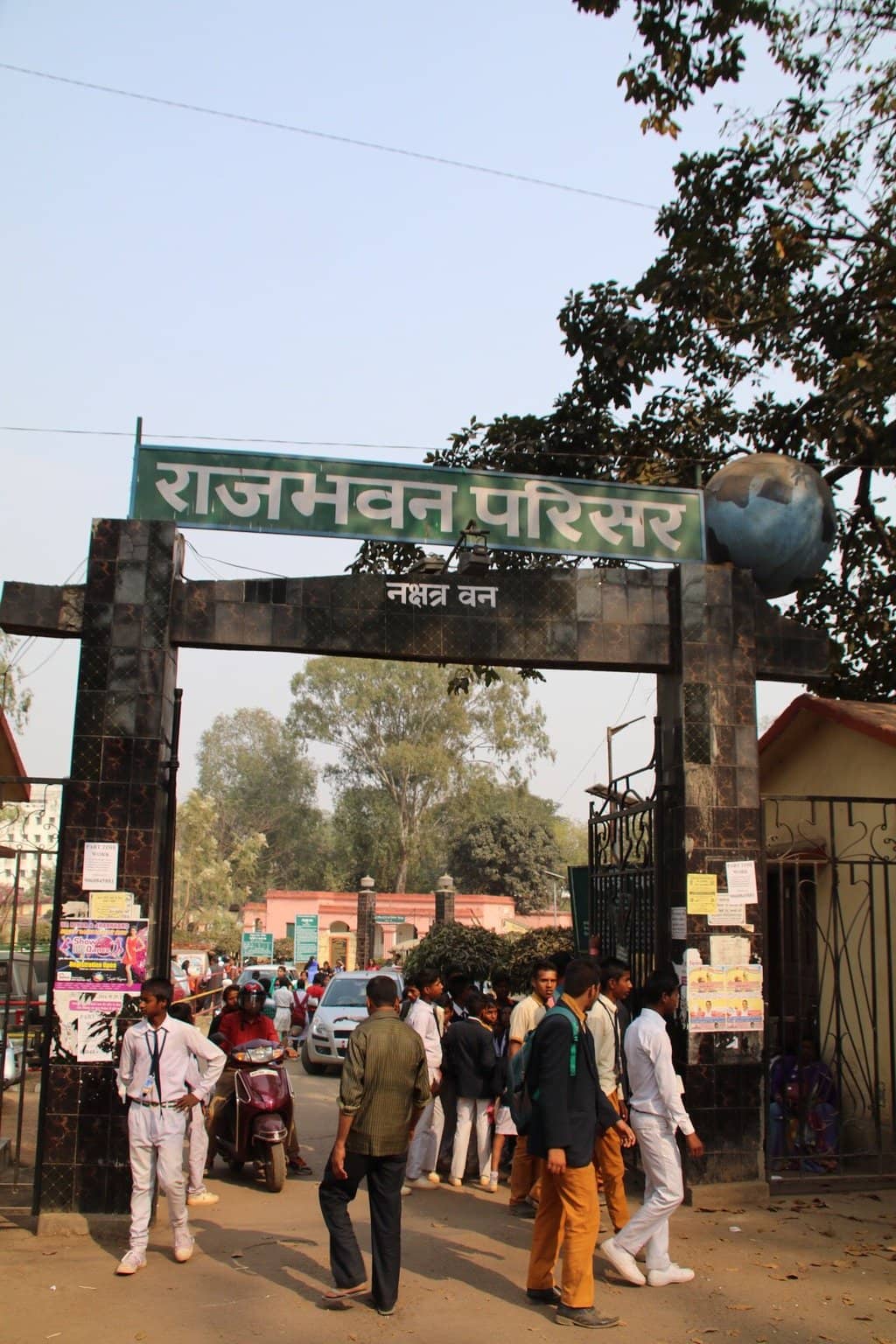 Medicinal Plant Collection