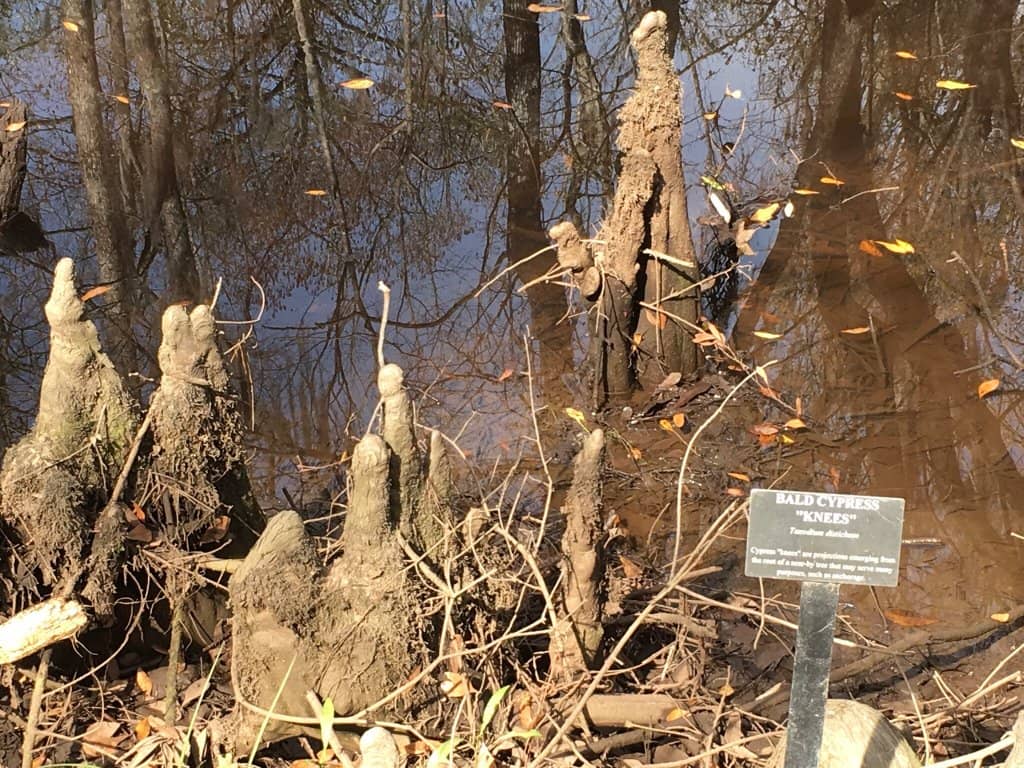 Nature Trails & Boardwalks