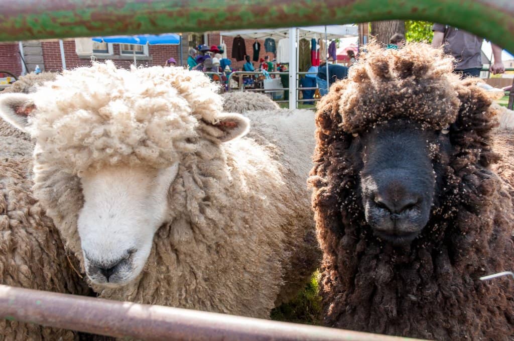 Adam West Batman Exhibit
