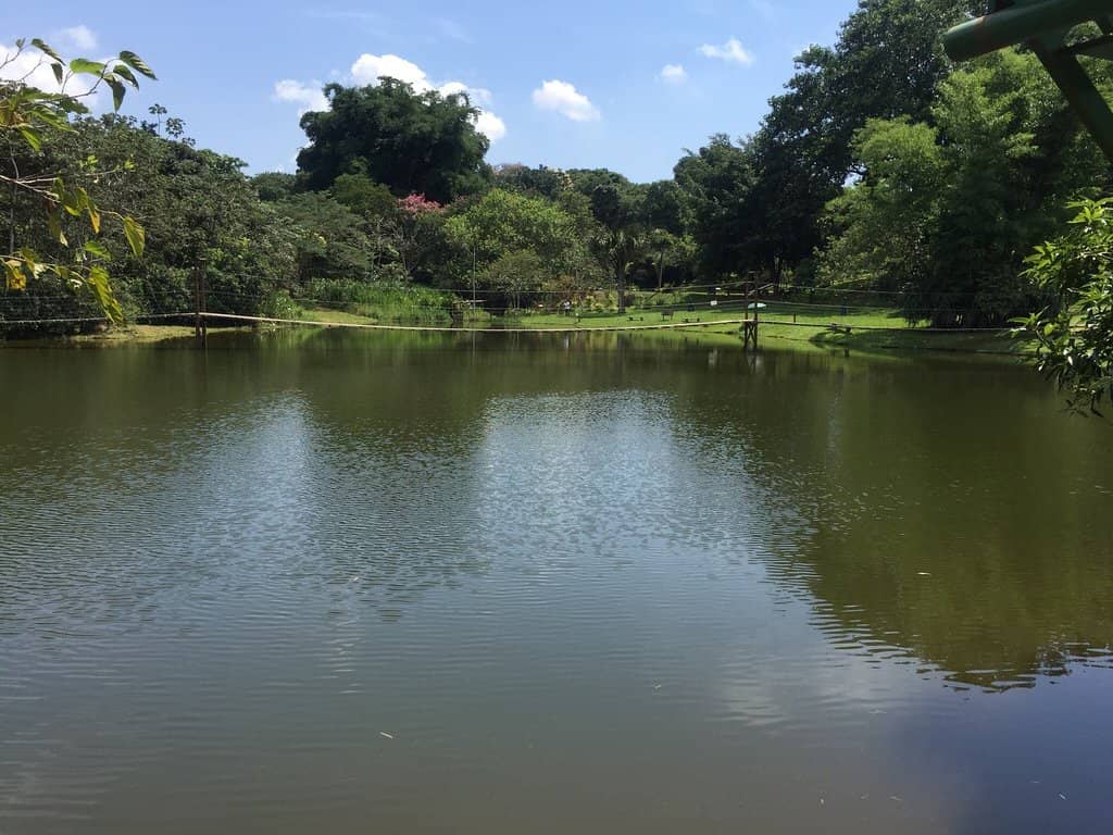 Delicious Buffet Dining