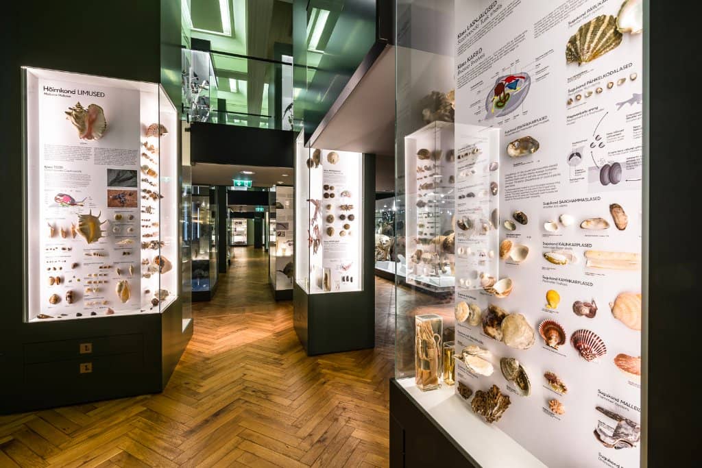 Minerals & Meteorites