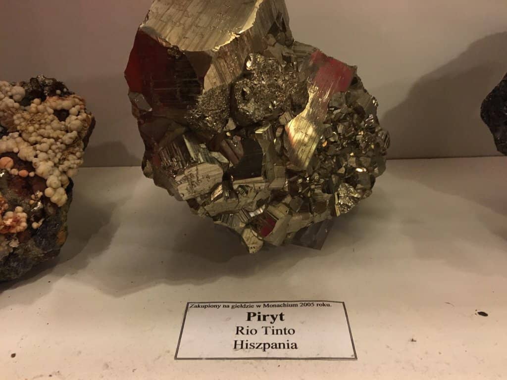 Dinosaur Discoveries