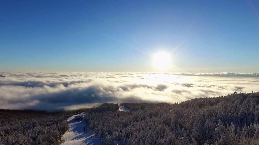 Ski-In/Ski-Out Hotel
