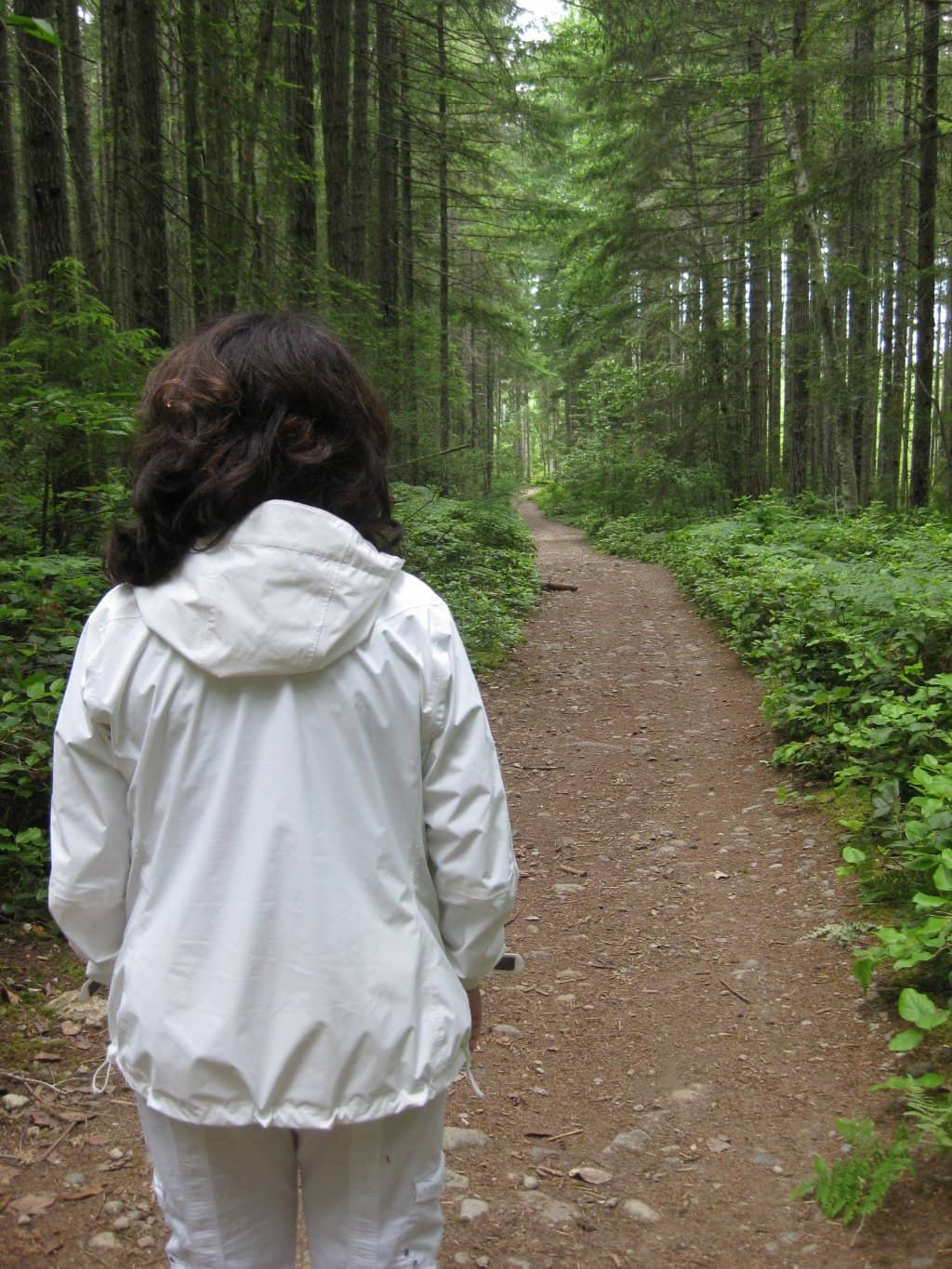 Steep Stone Staircase