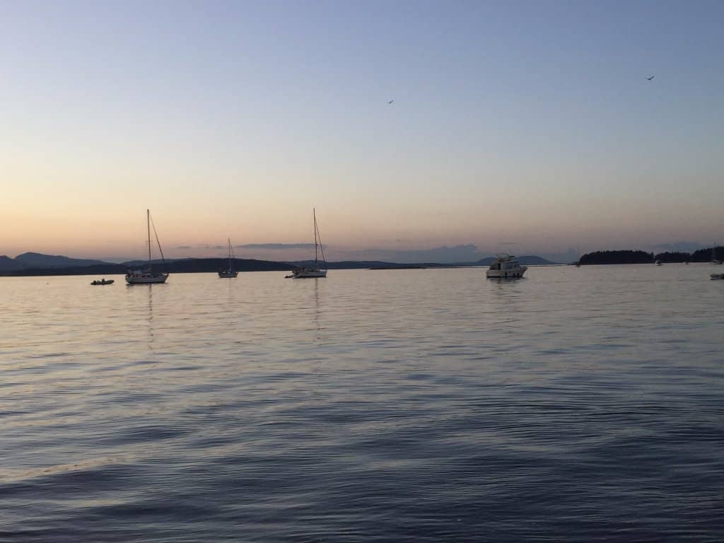 Wildlife Viewing Opportunities